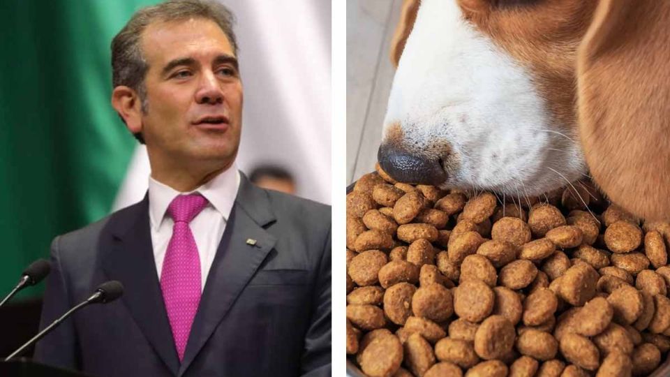 Los consjeros reciben como prestación alimento para sus mascotas