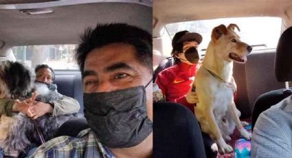 Taxi para lomitos: Taxista de Cdmx ofrece servicio exclusivo para mascotas y sus dueños.