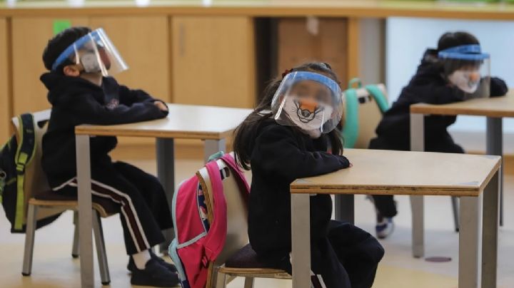 Educación Tamaulipas: Lo más seguro es que continuemos con las clases en línea.