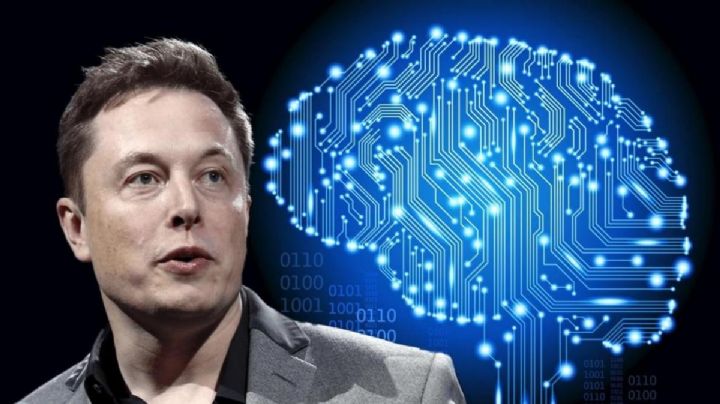 Elon Musk se prepara para la implantación de microchips en cerebros humanos
