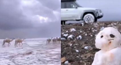 Cae nevada en desierto de Arabia Saudita