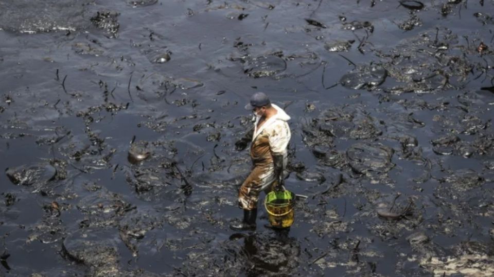 Las organizaciones ambientales trabajan a marchas forzadas para intentar salvar a la mayor cantidad de animales afectados por el petróleo