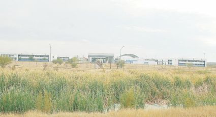 Invade tule arroyos; temen se desborden