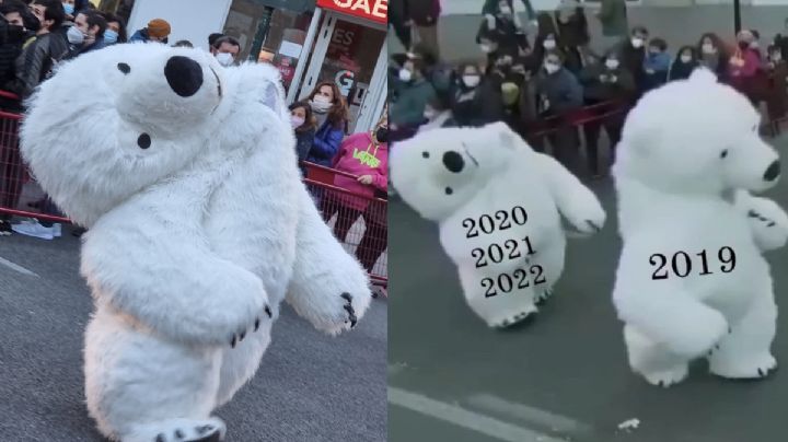 VIDEO: Oso con tortícolis roba la atención en la cabalgata de los reyes magos.