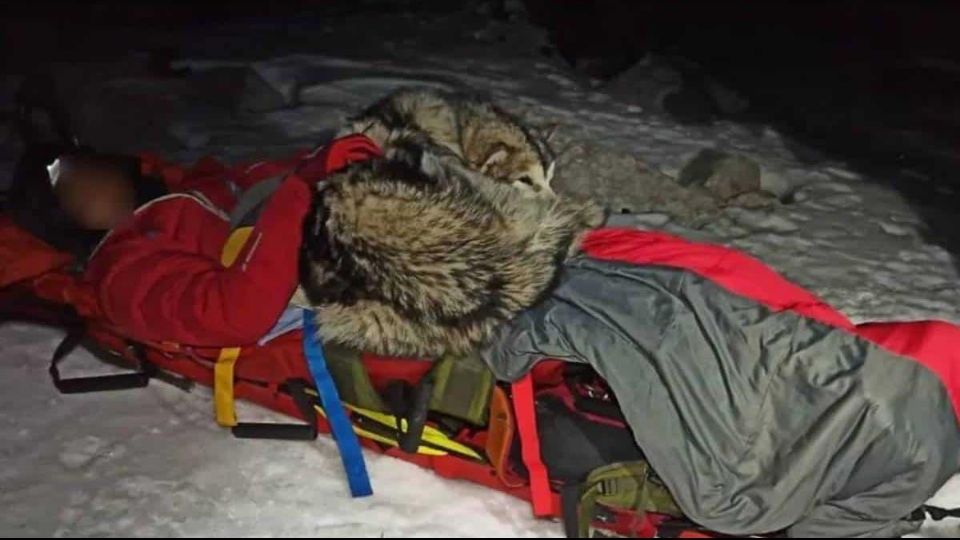 La mascota que no sufrió ninguna herida, no quiso separarse de su dueño en ningún momento