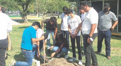 Repone Tec árboles dañados por tromba