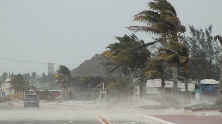 Posible ciclón afectaría Tamaulipas; sigue la trayectoria en vivo