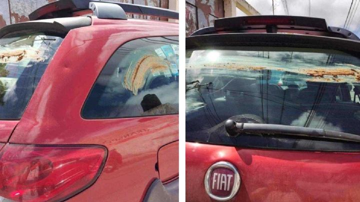 Le embarran caca a su auto por estacionarse en portón en servicio