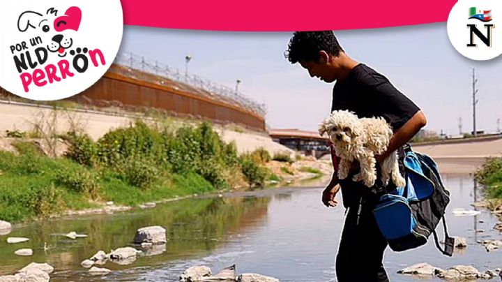 La triste historia de Brayan y Brandy, los inmigrantes a quienes separó el Río Bravo