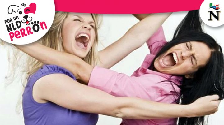 Evita discusiones con tus vecinos: es tu obligación tener limpia el área de tus perros