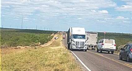 Secretaría de Infraestructura, Comunicaciones y Transportes reparará carreteras estatales