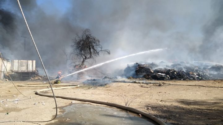 Megaincendio está controlado: Protección Civil | FOTOS