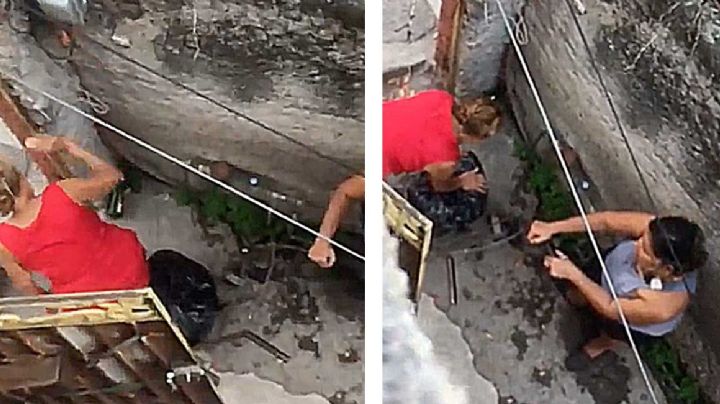 Mujeres asfixian a gatitos en una bolsa de plástico | VIDEO SENSIBLE