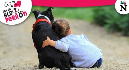 Consejos para adoptar al mejor perro para convivir con niños pequeños