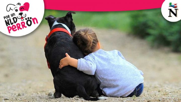Consejos para adoptar al mejor perro para convivir con niños pequeños