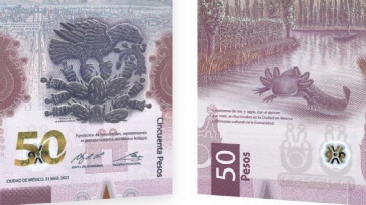 Por billete de 50 con el 'ajolotito' ofrecen hasta 900 mil pesos si tiene estas letras | FOTO