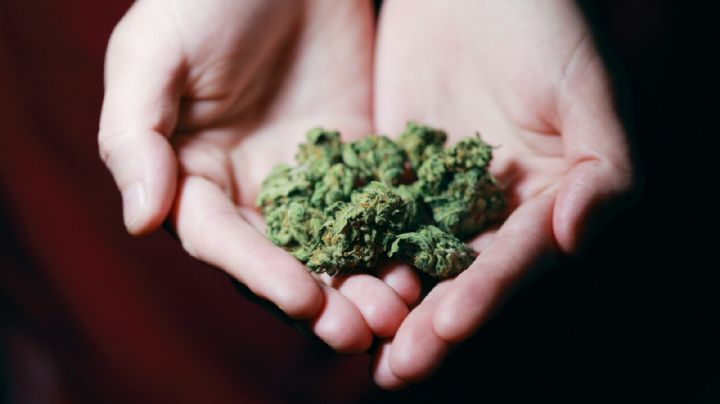 Joe Biden perdona a miles de presos condenados por posesión de marihuana