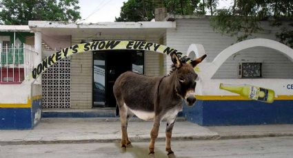 Donkey show: la leyenda urbana de Nuevo Laredo | VIDEO