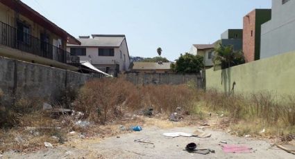 Ayudarán a limpiar baldíos particulares; inscribe tu terreno