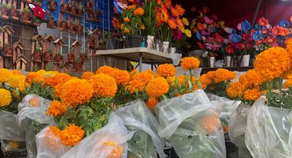 Vivos y muertos celebrarán en el Panteón Municipal; ya están listos los preparativos