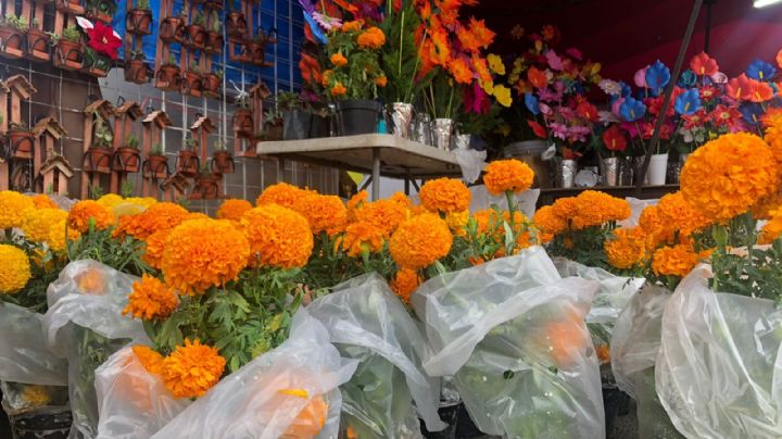 Vivos y muertos celebrarán en el Panteón Municipal; ya están listos los preparativos