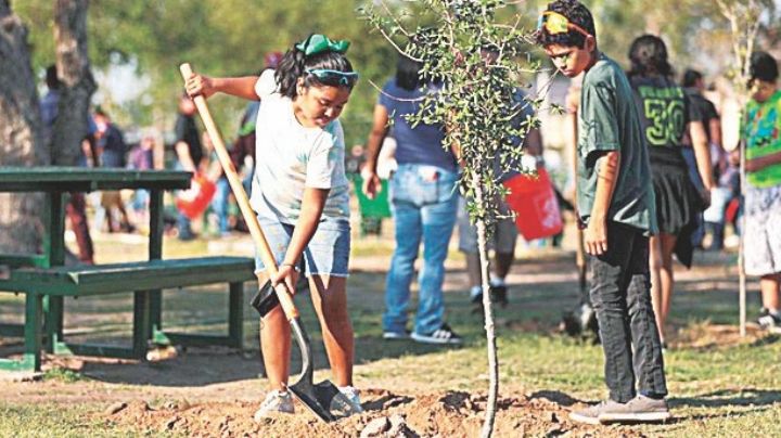 Llaman a reforestar Nuevo Laredo