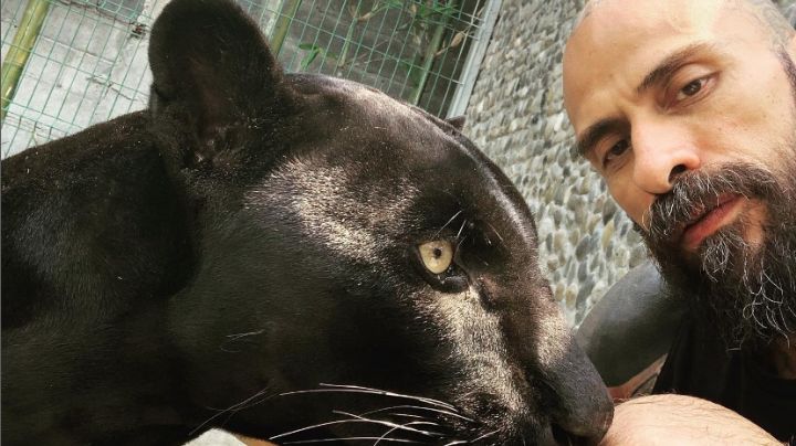 'Noche', la pantera del 'Babo' de Cartel de Santa y su lujosa vida | VIDEO