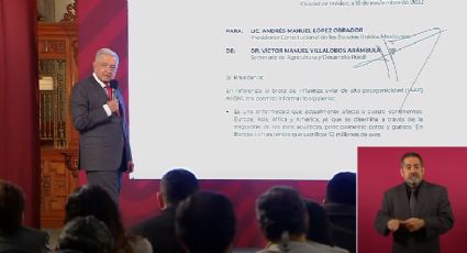 Gripe Aviar no representa amenaza en México: AMLO