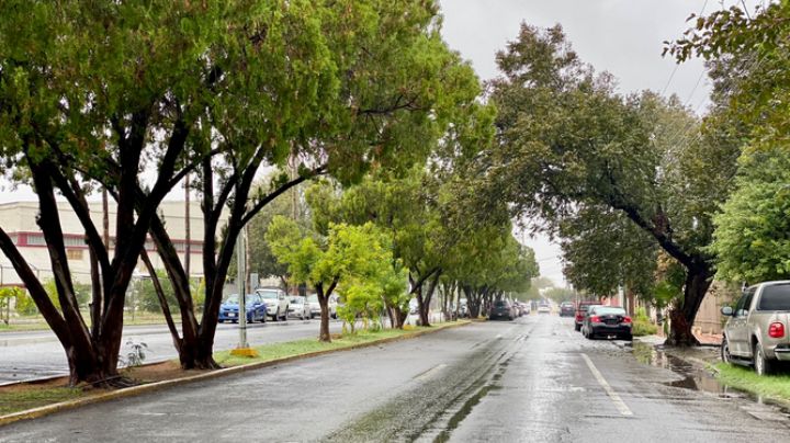 No guarde las cobijas... ¿cuántos frentes fríos más llegarán a Tamaulipas este año?