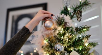 ¿Cuándo se debe poner el árbol de Navidad?