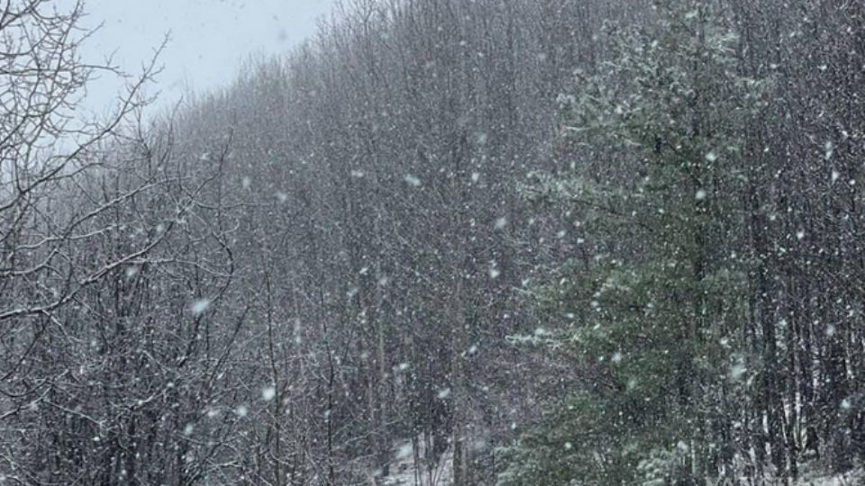 En Arteaga se registró ya la caída de nieve o aguanieve