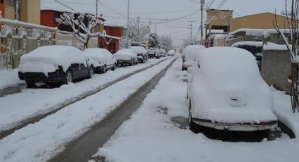 Pronostican caída de nieve en las próximas horas por tormenta invernal