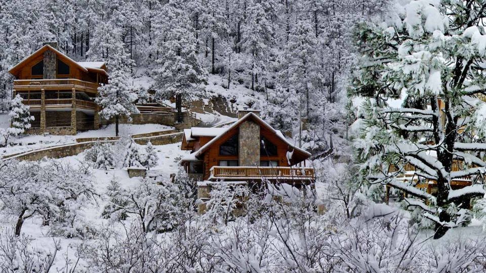 Caída de nieve