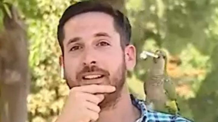 Loro 'hurta' audífono a reportero que estaba transmitiendo en vivo | VIDEO