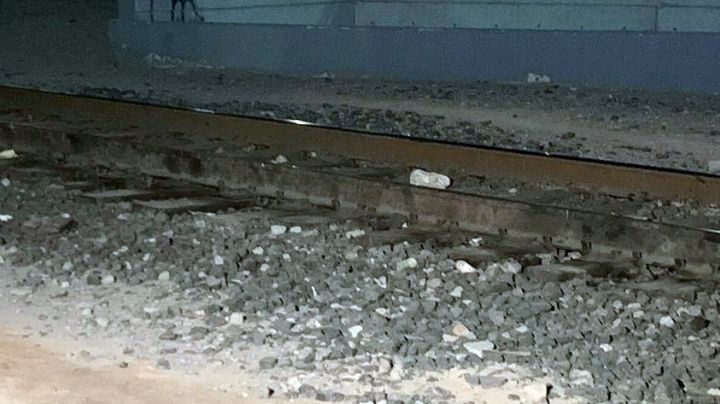 Perro empuja a abuelita sobre las vías y le pasa encima el tren