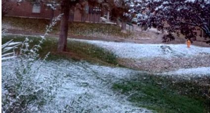 Huele a Navidad; registran caída de nieve en el norte de México