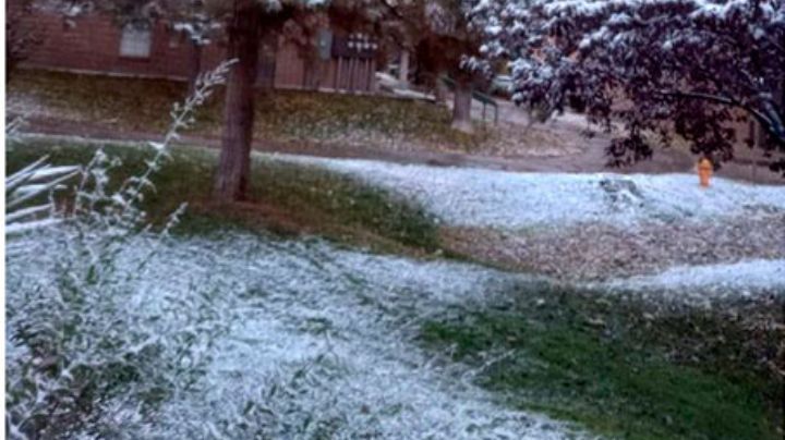 Huele a Navidad; registran caída de nieve en el norte de México