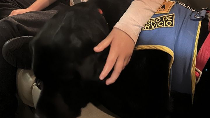 Expulsan a niña de plaza comercial por llevar una mascota de apoyo