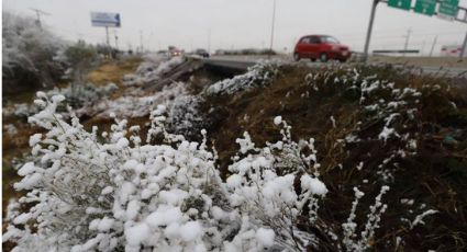 Frente Frío 8 provocará la caída de nieve o aguanieve