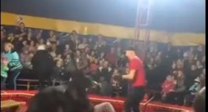 Feroz oso ataca a su entrenador en plena función de circo | VIDEO