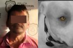 Sentencian a 3 años de cárcel a hombre que mató a palazos a un perro en Veracruz