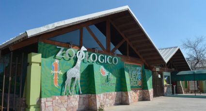 Nuevo Laredo: ¿cuál es el día gratis para visitar el zoológico y acuario?