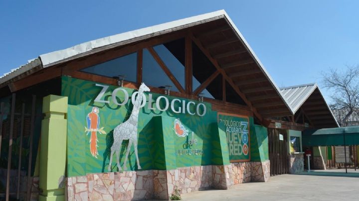 Nuevo Laredo: ¿cuál es el día gratis para visitar el zoológico y acuario?