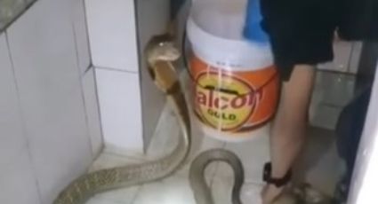 Joven tiene de mascota una serpiente y la baña a jicarazos | VIDEO