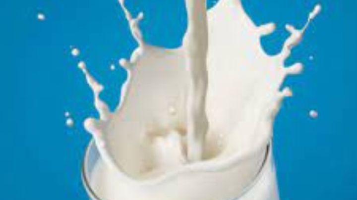 ¿Por qué tomar mucha leche puede ser malo para la salud?