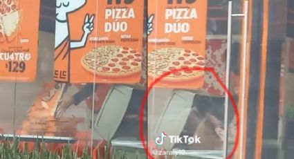 Empleado de Little Caesars que sacó las cajas de basura NO las reutilizó, aclara la marca