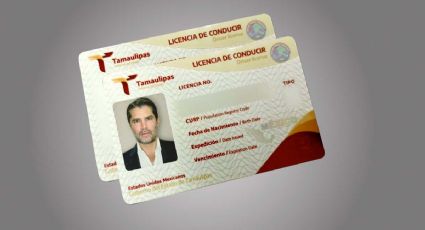 Precio de licencia de conducir permanente de Tamaulipas; chofer