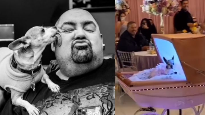 Gasta 100 mil dólares para festejar los XV años de su perrita chihuahua