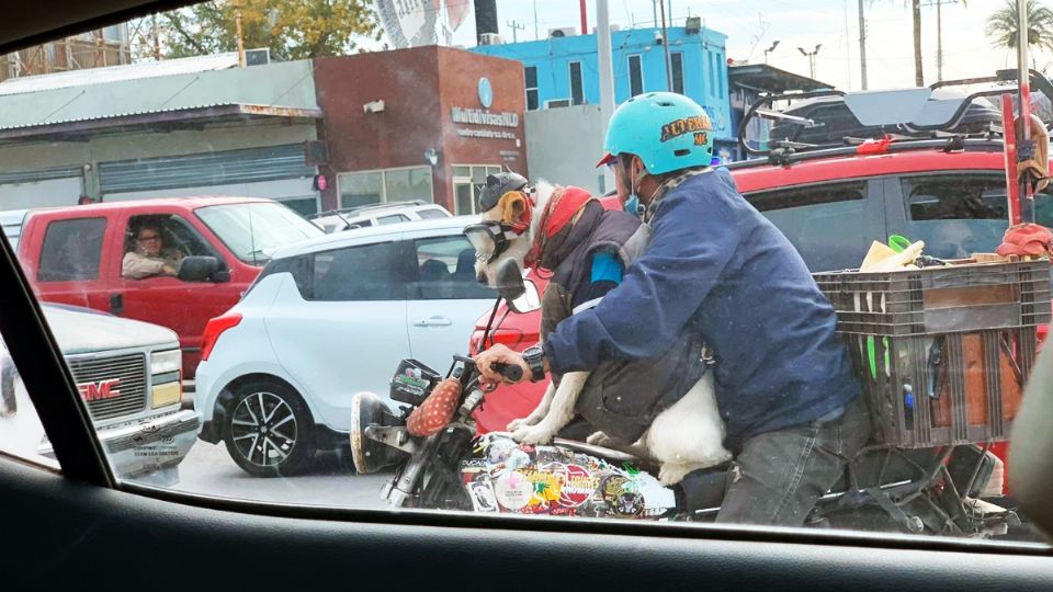 Andaba paseando en Nuevo Laredo