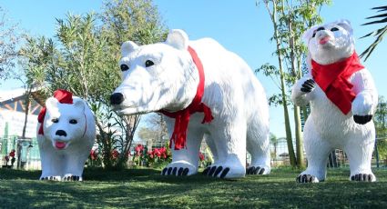 Hoy inicia la Navidad en el Zoológico de Nuevo Laredo; aquí los detalles